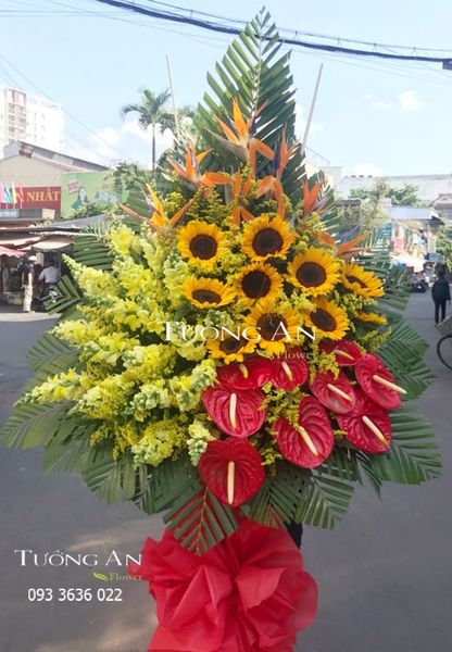 Hoa Chúc Mừng Bay Cao Lên