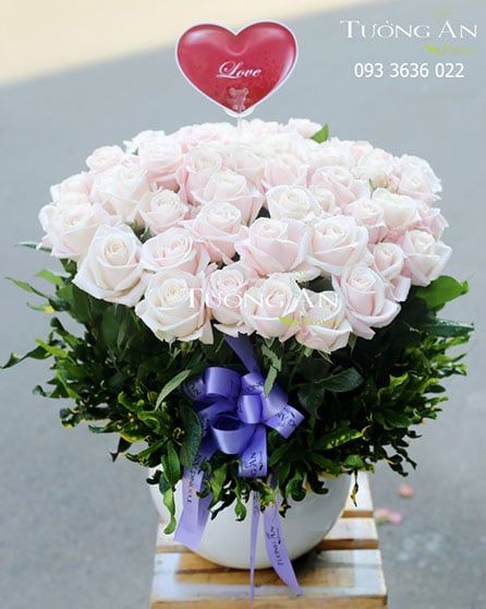 Bình Hoa Áo Hồng