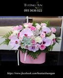  Hộp Hoa Hồng Xinh - S486 