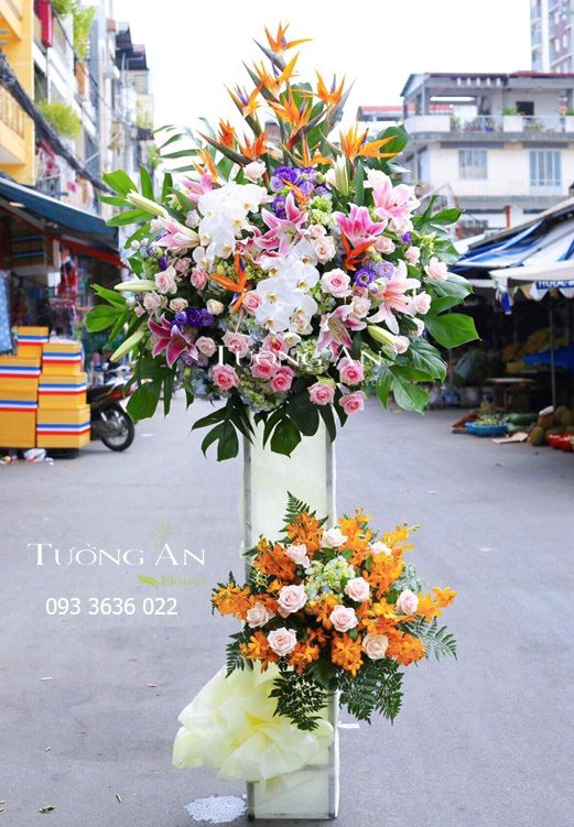  Kệ Hoa Vươn Tới Tầm Cao Mới - S500 