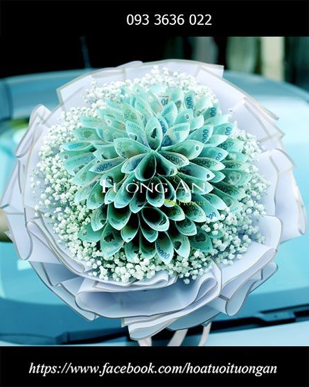 Bó Hoa Tiền Money