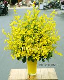  Bình Hoa Lan Vũ Nữ - S582 