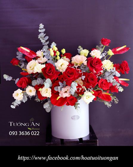  Hộp Hoa Sự Sống - S613 