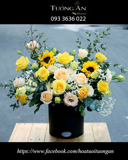 Hộp Hoa Ngày Nắng