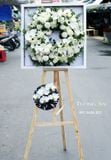  Vòng Hoa Hạ Trắng - S628 