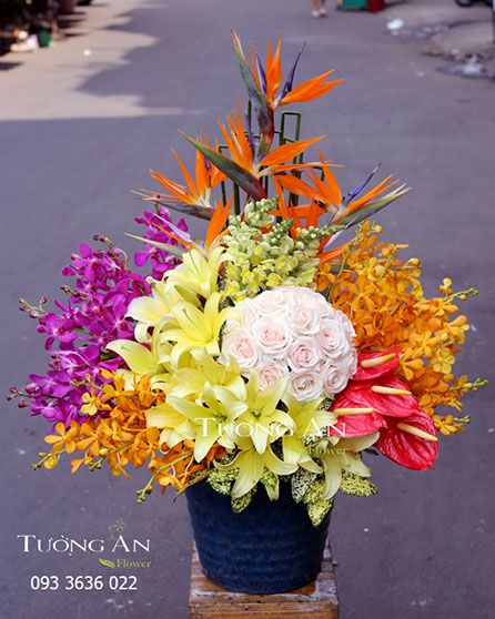  Bình Hoa Tương Lai - S738 