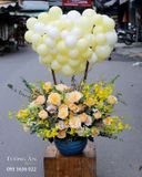  Hoa Bong Bóng Mùa Hạ - S773 