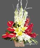  Giỏ Hoa Thành Công - S562 