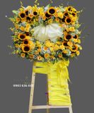  Kệ Hoa Chúc Mừng Vàng Rực - S491 