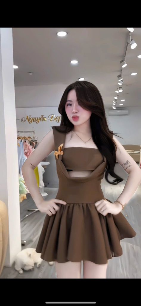 Set áo quây đầm xoè kèm tag bướm (F19)