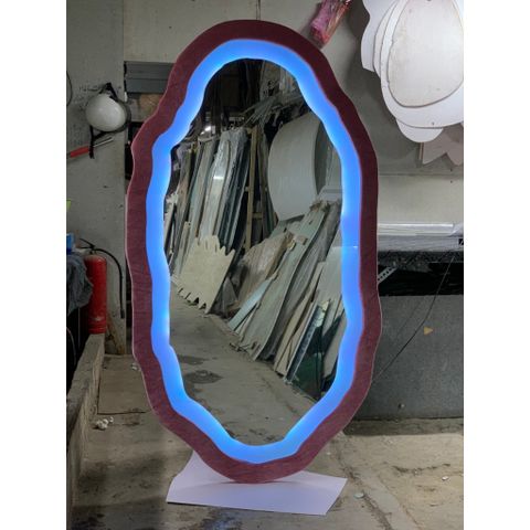 80x180cm Gương soi quả trứng bọc nhung nỉ AAArealhome QTLN Gương quả trưng Gương soi toàn thân đèn led cảm ứng