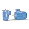  Động Cơ ABM ALIE17116 0,18 kW Có Phanh 