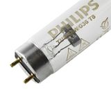  Bóng Đèn UV Philips TUV T8 36W 1213mm 