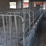  Vách Ngăn Chuồng Bầu Nhúng Kẽm(2050x1050)mm 
