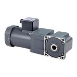  Mô Tơ Wanshsin 100YS250GV22+L100G F10RC 