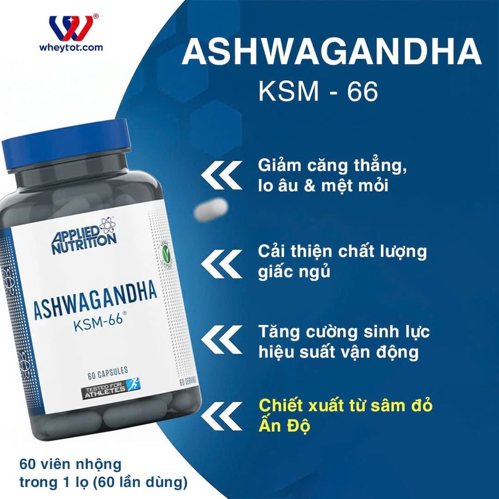 Applied Nutrition Ashwagandha KSM-66 300mg 60 viên dùng 2 viên mỗi ngày